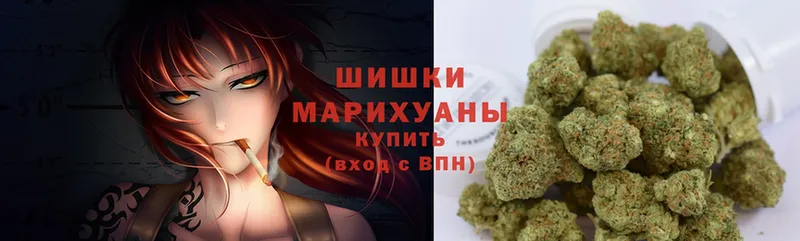 купить закладку  Арамиль  Бошки марихуана White Widow 